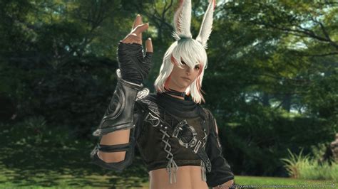 Recently posted all-race items. . Ffxiv rule34